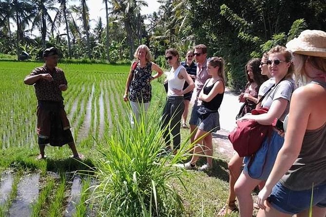 Bali Amazing Cooking Class - The cooking lesson itself: demonstration plus real practice