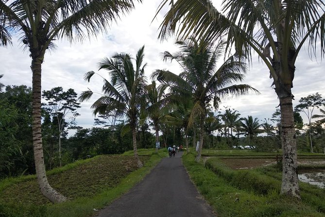 Bali Amazing Cycling Tour - Bali’s North-to-South Bike Day: What 6 Hours Actually Means