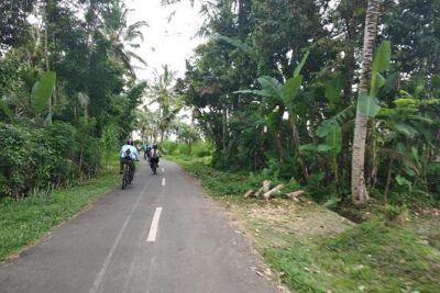 Bali Amazing Cycling Tour - Getting to Kintamani: Pickup, Timing, and the Early Views