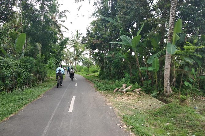 Bali Amazing Cycling Tour - Getting to Kintamani: Pickup, Timing, and the Early Views