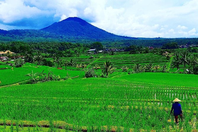 Bali Ancient Temples Tour - Ubud-Based Temple Day: How This Private 10-Hour Plan Works