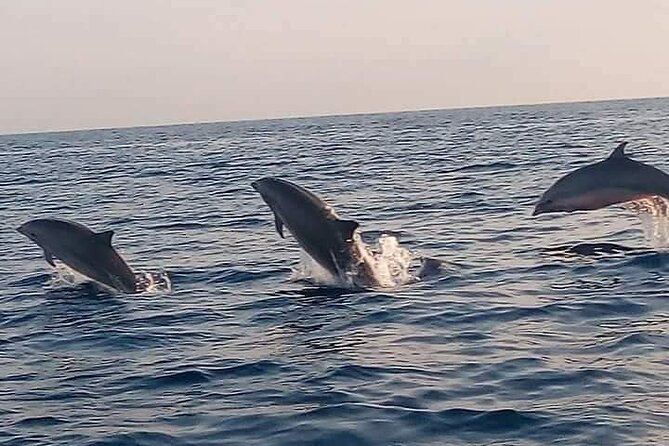Bali and Lovina with Sunrise Dolphin Tour and Snorkeling - Key Highlights You’ll Care About