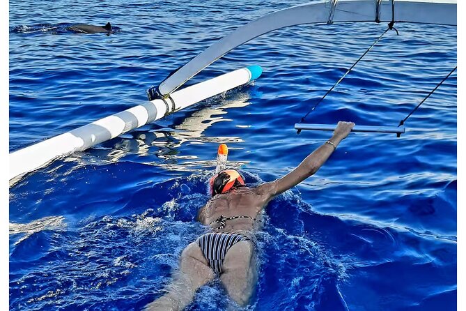 Bali and Lovina with Sunrise Dolphin Tour and Snorkeling - Price and What You Actually Get for $27.67