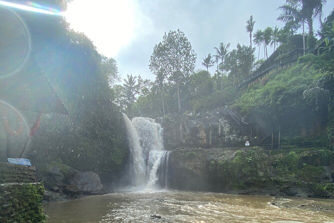Bali Arts shopping with temples-waterfall visit. - Elephant Cave (Goa Gajah): a cave temple with a 1920 discovery story