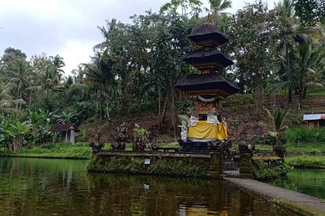 Bali ATV Combined with Mumbul Lake And Sangeh Monkey Forest - Guides, Service, and What You Can Expect From the Team