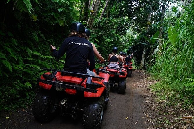 Bali ATV Quad Bike Adventure with Gorilla Cave Pass By Waterfall - The infinity pool reset in Gianyar: why you’ll appreciate this ending