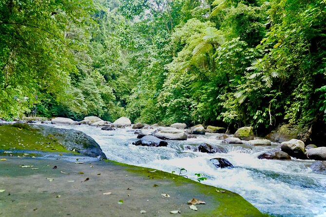 Bali ATV Quad Bike & Ayung River Rafting Combo with Lunch - Who Should Book This Ubud Combo (and Who Might Skip It)