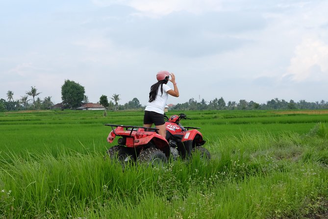 Bali Atv Quad Bike Through Tunnel and Waterfall - The countryside ride: jungle, plantations, rice fields (and the tunnel/waterfall name)