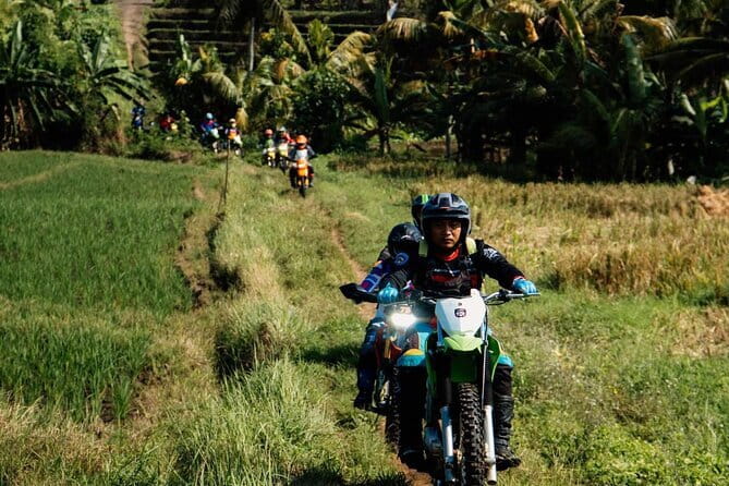 Bali ATV Quad Bike Ubud Swing & Monkey Forest All Inclusive - Tegalalang Jungle Swing: Floating Above Rice Fields and Photo Spots