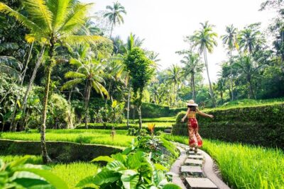 Bali ATV Quad Bike with Ubud Day Tour All Inclusive - Sacred Monkey Forest Sanctuary: seeing Bali up close (with rules)