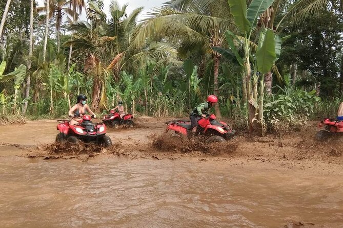 Bali ATV Quadbike Through Gorilla Face Cave - Price and value: what you get for about $90