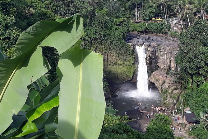 Bali ATV Rafting And Ubud Waterfall Private Tour - Meals, Coffee or Tea, and What’s Actually Included