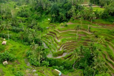 Bali ATV Ride And Ubud Tour Packages : Best Quad Bike Trip - The 2-hour quad bike ride at Bali Pertiwi Adventure