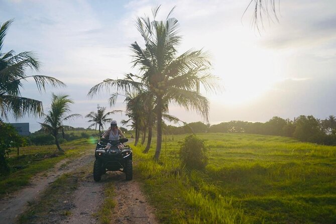 Bali ATV Ride On the Beach, Rice Field and Village Tour 2 Hour - Price and value: $44.50 for a private ATV day that adds up
