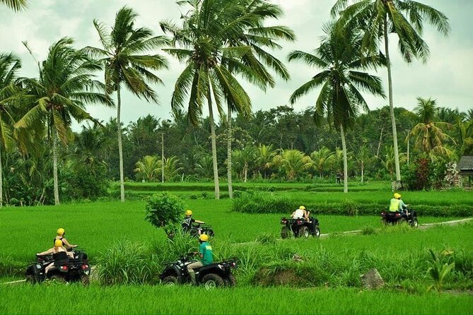 Bali ATV Ride tour Ubud - Off-road Bali with an itinerary that actually changes scenery
