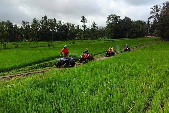 Bali ATV Ride tour Ubud - Price and value: why $37.29 can work (and when it won’t)