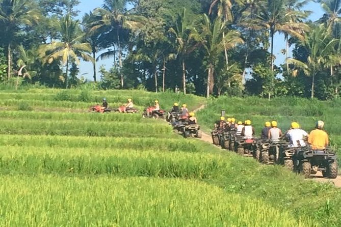 Bali ATV Ride Ubud Jungle Track - Pickup, Timing, and the Real Meaning of a 2 to 3 Hour Ride