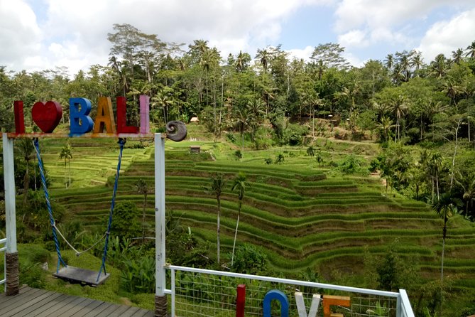 Bali ATV Ride with Jungle Swing and Rice Terrace Tour - Stop 3: Tegalalang Rice Terrace in walking mode