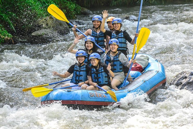 Bali: Ayung River White Water Rafting Adventure - On the Water: What the Ayung River Really Feels Like