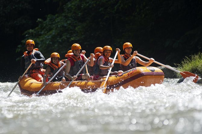 Bali Ayung River White Water Rafting with Transport - Price and value: what $53 buys you (and what to double-check)