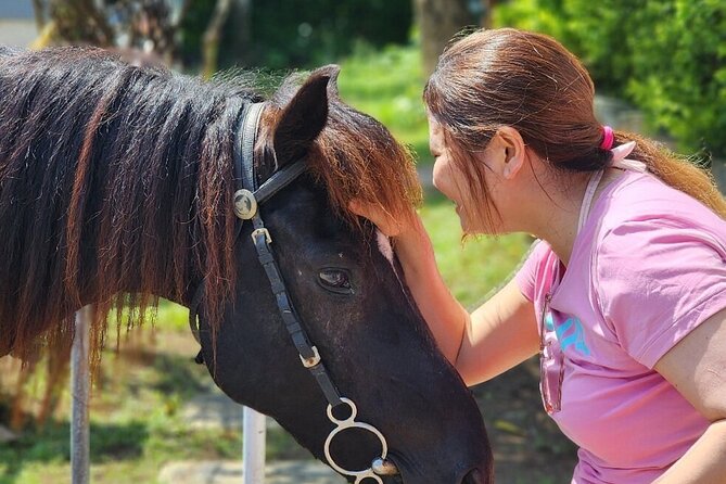 Bali Beach Horse Riding combo with waterfall All Inclusive - Pickup and private-group comfort from Seminyak