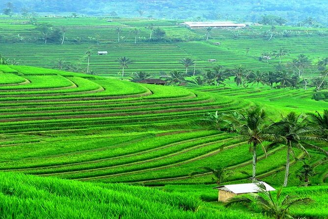 Bali: Bedugul Lake Temple, Banyumala Waterfall, UNESCO Rice Field - Private tour value: what you’re paying for at about $30