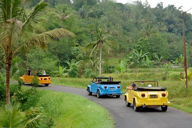 Bali: Bedugul Temple, Banyumala Waterfall, UNESCO Rice Terrace - What this tour is best for (and who should think twice)