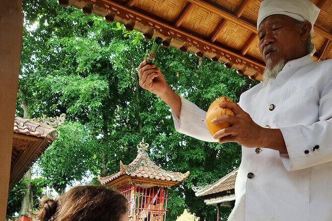 Bali Best Private of Nusa Penida Tour - Why a Private Nusa Penida Day From Ubud Makes Sense
