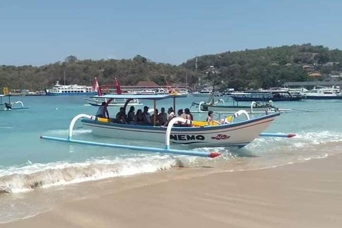 Bali Best Snorkeling at Blue Lagoon - Wildlife expectations: what you should look for (and what to keep flexible)