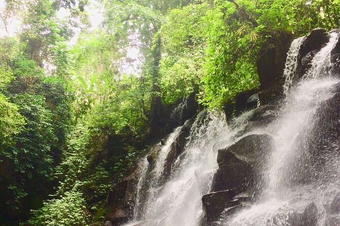 Bali best waterfall - Price and Logistics: What $35 Covers (and What You Need to Add)