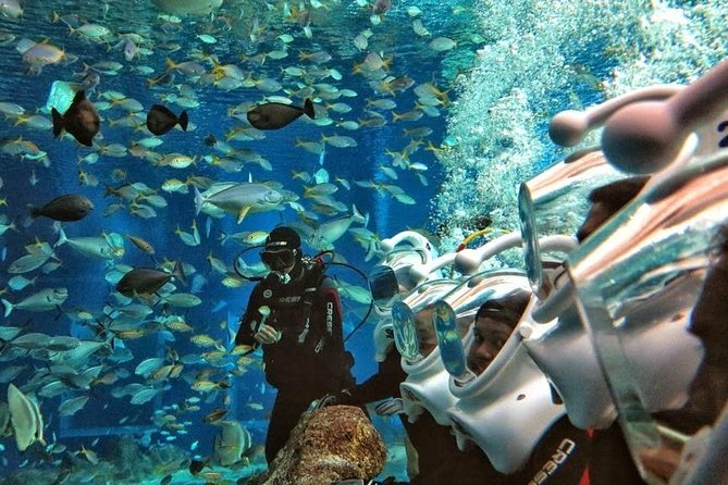 Bali Best Watersport Sea walker,Parasailing adventure,Jet sky - Door-to-Door Pickup and the Fast Rhythm of Three Sports