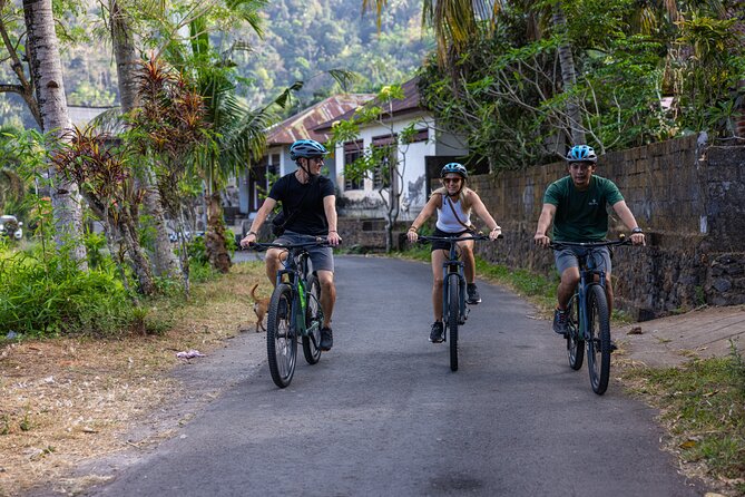 Bali Bike Tour Ubud Area - Key things I’d count on before you go