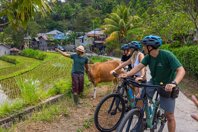 Bali Bike Tour Ubud Area - Bongkasa village finish: the family lunch you’ll remember