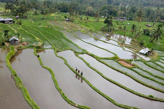 Bali Bike Tour Ubud Area - Who should book this Bali Bike Tour from Ubud