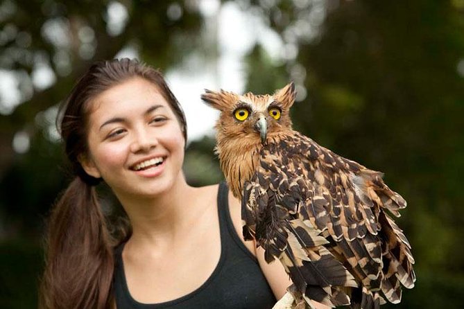 Bali Bird Park Admission Ticket with Hotel Transfer - Bali Bird Park: What You’re Paying For (And Why It Works)