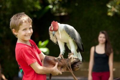 Bali Bird Park Admission Ticket with Hotel Transfer - The Private Hotel Transfer From Ubud Makes the Day Feel Effortless
