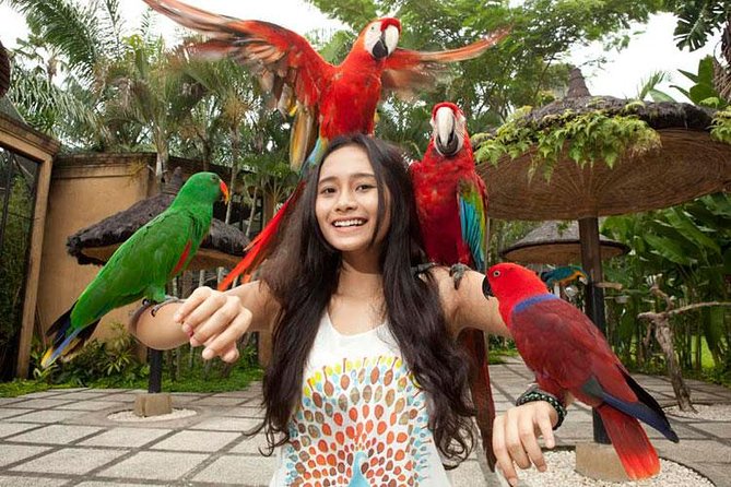 Bali Bird Park Admission Ticket with Hotel Transfer - Who This Bali Bird Park Ticket Is Best For
