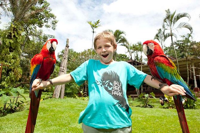 Bali Bird Park Admission Ticket with Hotel Transfer - Price and Value: Is $38 Worth It?