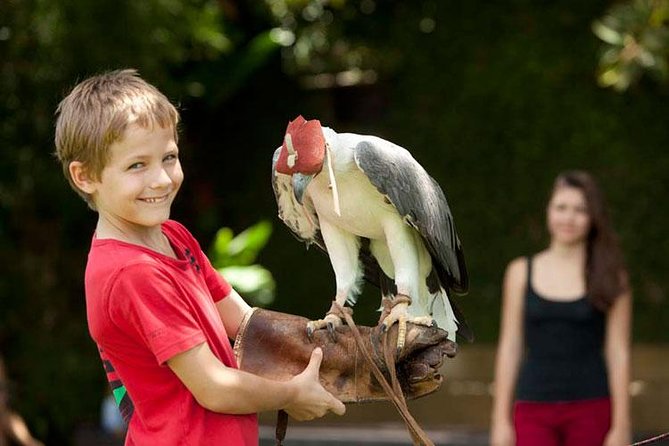 Bali Bird Park Admission Ticket with Hotel Transfer - The Private Hotel Transfer From Ubud Makes the Day Feel Effortless