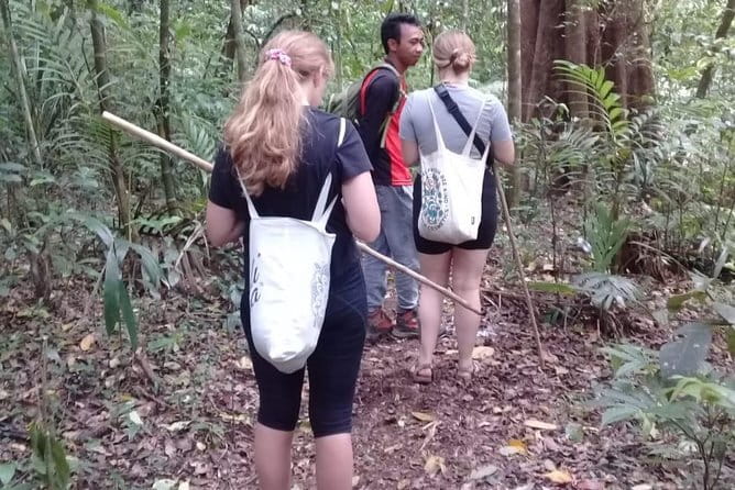 Bali Blue Lagoon Snorkeling and Waterfall Day Tour with Lunch - How the instructor and safety gear change the day
