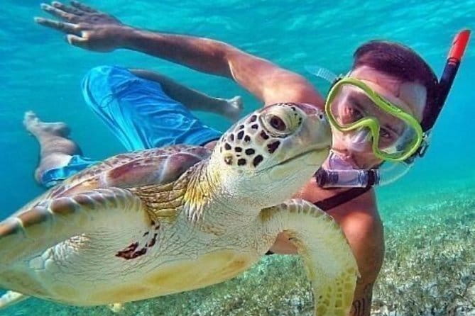 Bali : Blue Lagoon Snorkeling combine with Bali Swing in Ubud - Key points to know before you go