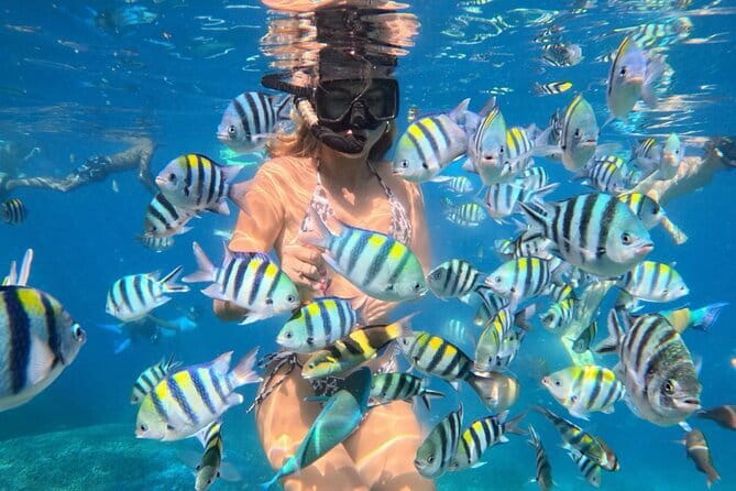 Bali : Blue Lagoon Snorkeling combine with Bali Swing in Ubud - Tegalalang Rice Terrace and the Jungle Swing Photo Stop