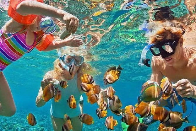 Bali : Blue Lagoon Snorkeling combine with Bali Swing in Ubud - Value and Price: Is $70 Worth It?