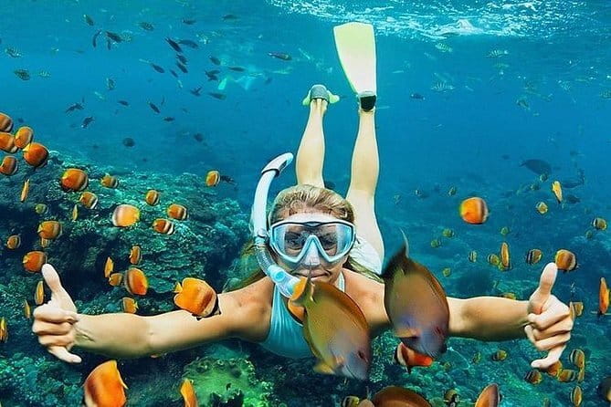 Bali : Blue Lagoon Snorkeling combine with Bali Swing in Ubud - Your Driver Matters: The Importance of a Friendly English-Speaking Host