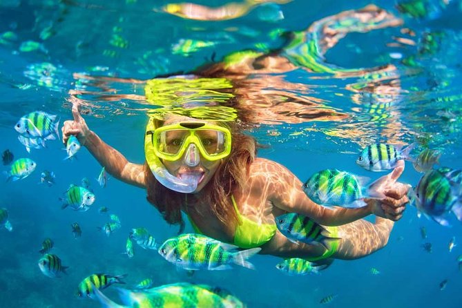 Bali Blue Lagoon Snorkeling Experience - Price and Value: Is $49.09 Fair Here?
