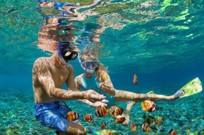 Bali Blue Lagoon Snorkeling - Lunch and Transport All Inclusive - Pickup and Private Transport: Door-to-Door From Denpasar to Canggu