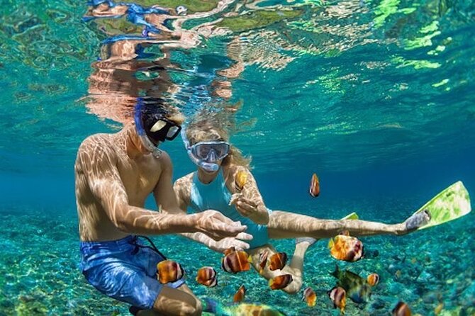 Bali Blue Lagoon Snorkeling - Lunch and Transport All Inclusive - Pickup and Private Transport: Door-to-Door From Denpasar to Canggu