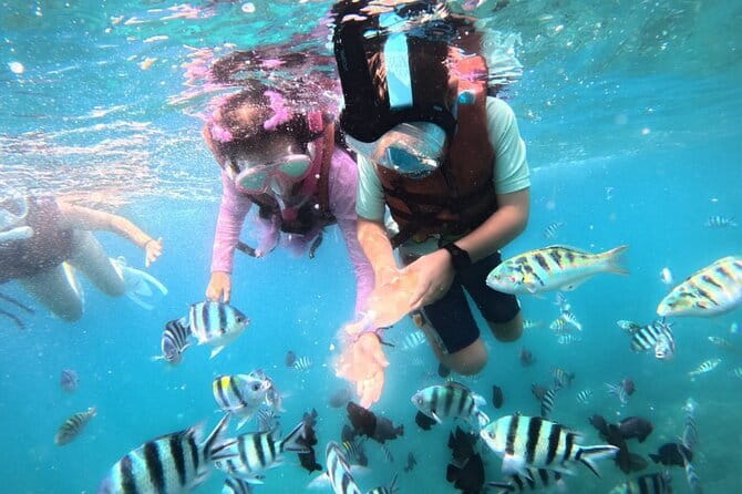 Bali Blue Lagoon Snorkeling Tour All Inclusive - Lunch, bottled water, and the comfort that makes the day work