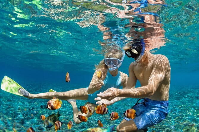 Bali Blue Lagoon Snorkeling Tour All Inclusive - Price and logistics: Is $42 good value for this tour?