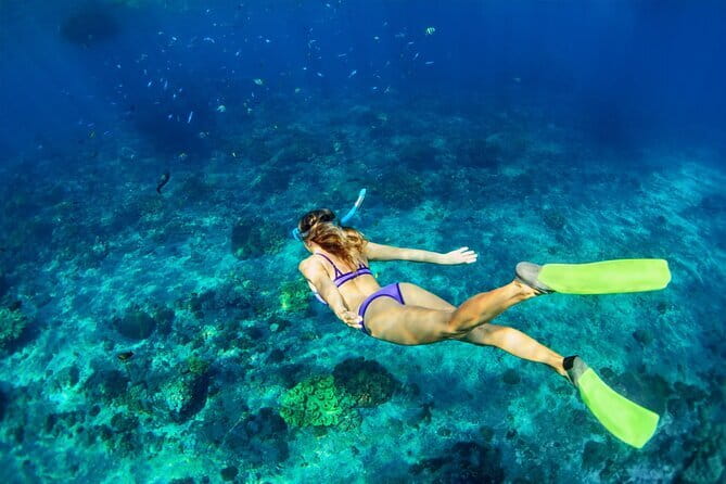 Bali Blue Lagoon Snorkeling Tour All Inclusive - Who this snorkeling day fits best